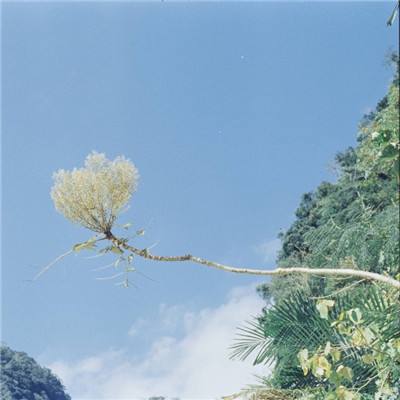 铜雀台梦幻三国手游下载