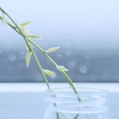 快打江湖破解版下载