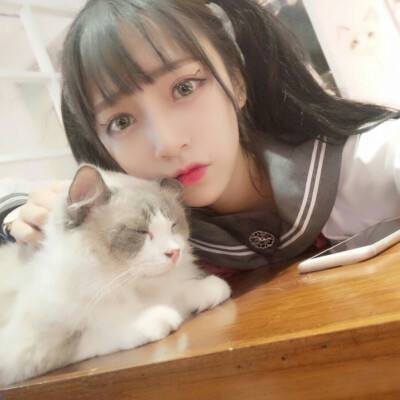 中餐厅小厨师最新版下载